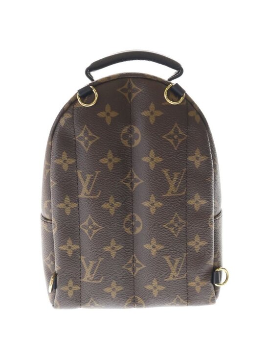 Louis Vuitton Monogram Palm Springs Mini Leather Backpack Brown main image 6